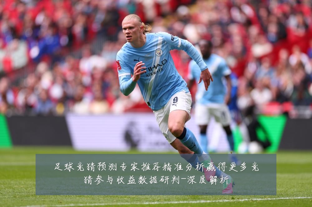 足球竞猜预测专家推荐精准分析赢得更多竞猜参与收益数据研判-深度解析