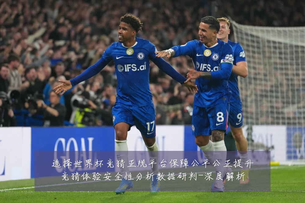 选择世界杯竞猜正规平台保障公平公正提升竞猜体验安全性分析数据研判-深度解析